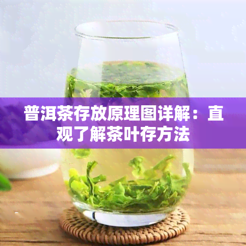 普洱茶存放原理图详解：直观了解茶叶存方法