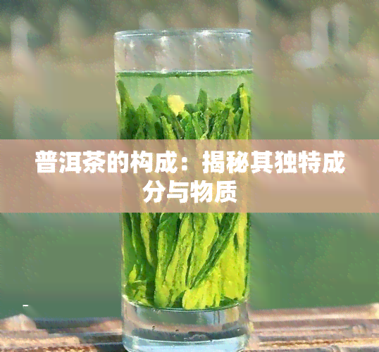 普洱茶的构成：揭秘其独特成分与物质