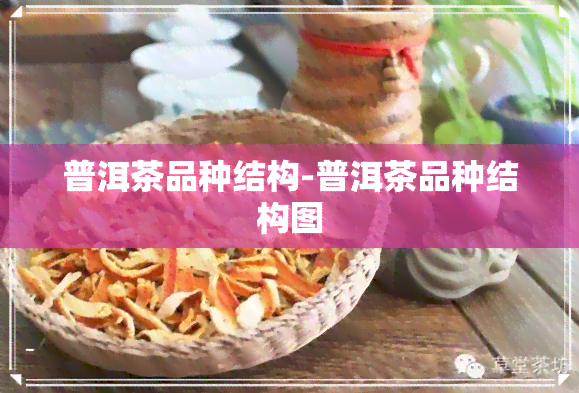 普洱茶品种结构-普洱茶品种结构图