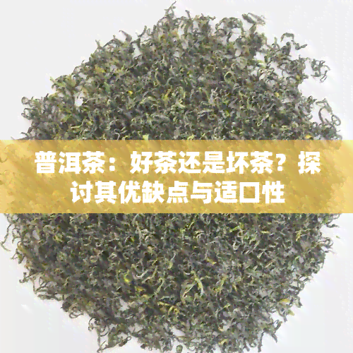 普洱茶：好茶还是坏茶？探讨其优缺点与适口性