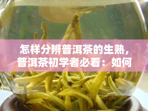 怎样分辨普洱茶的生熟，普洱茶初学者必看：如何区分生熟普洱？