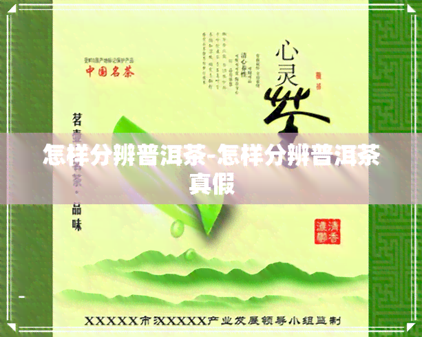 怎样分辨普洱茶-怎样分辨普洱茶真假