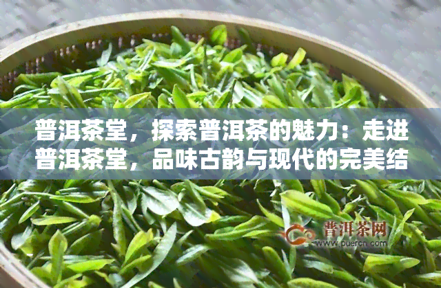 普洱茶堂，探索普洱茶的魅力：走进普洱茶堂，品味古韵与现代的完美结合