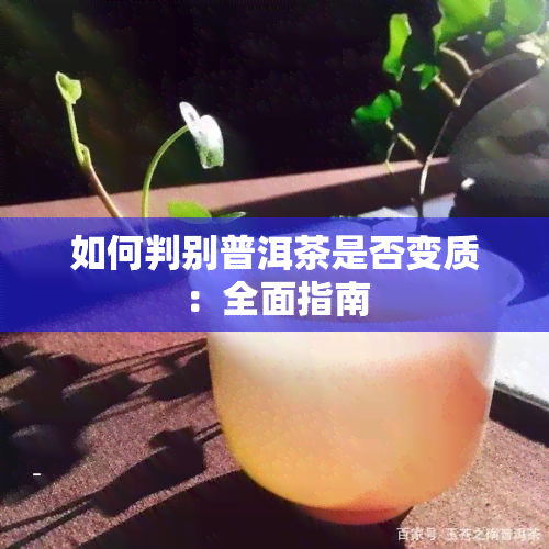 如何判别普洱茶是否变质：全面指南