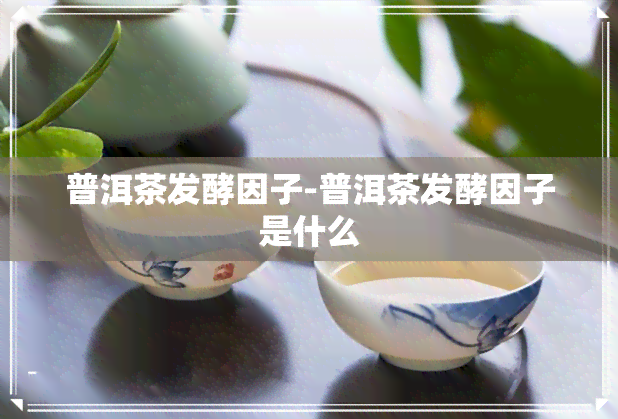 普洱茶发酵因子-普洱茶发酵因子是什么