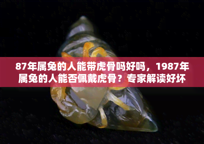 87年属兔的人能带虎骨吗好吗，1987年属兔的人能否佩戴虎骨？专家解读好坏影响