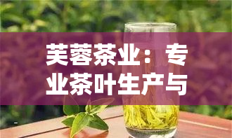 芙蓉茶业：专业茶叶生产与销售公司