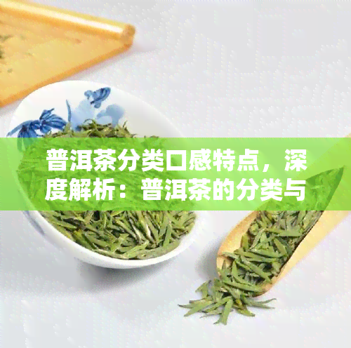 普洱茶分类口感特点，深度解析：普洱茶的分类与口感特点