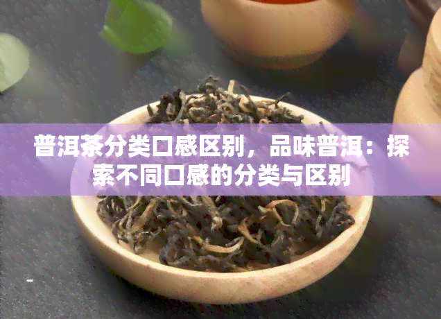 普洱茶分类口感区别，品味普洱：探索不同口感的分类与区别