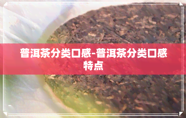 普洱茶分类口感-普洱茶分类口感特点