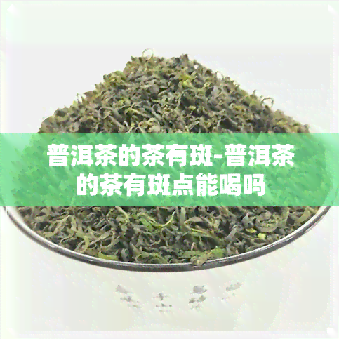 普洱茶的茶有斑-普洱茶的茶有斑点能喝吗