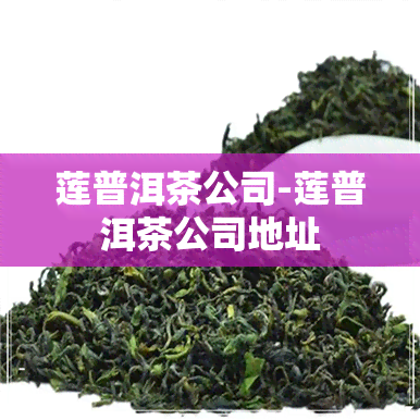 莲普洱茶公司-莲普洱茶公司地址