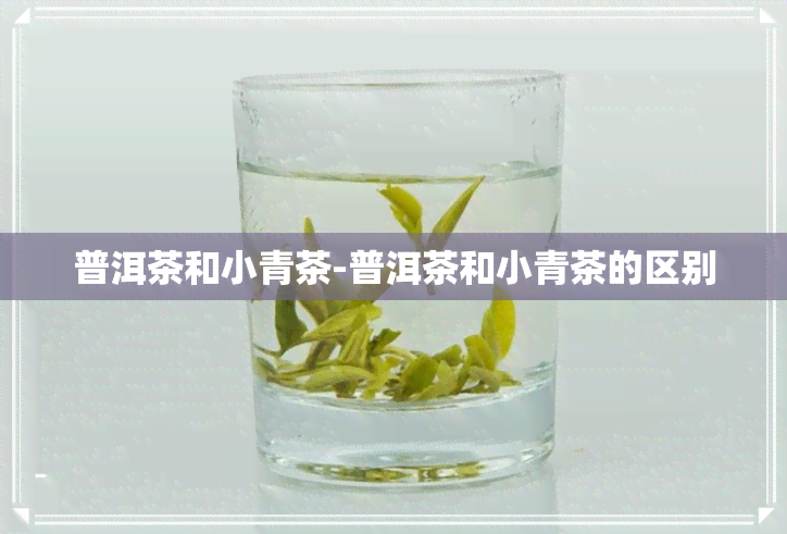 普洱茶和小青茶-普洱茶和小青茶的区别