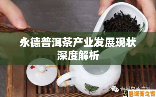 永德普洱茶产业发展现状深度解析