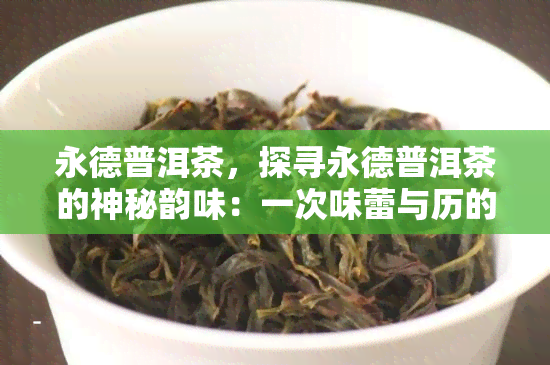 永德普洱茶，探寻永德普洱茶的神秘韵味：一次味蕾与历的交织之旅