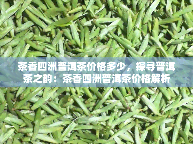 茶香四洲普洱茶价格多少，探寻普洱茶之韵：茶香四洲普洱茶价格解析