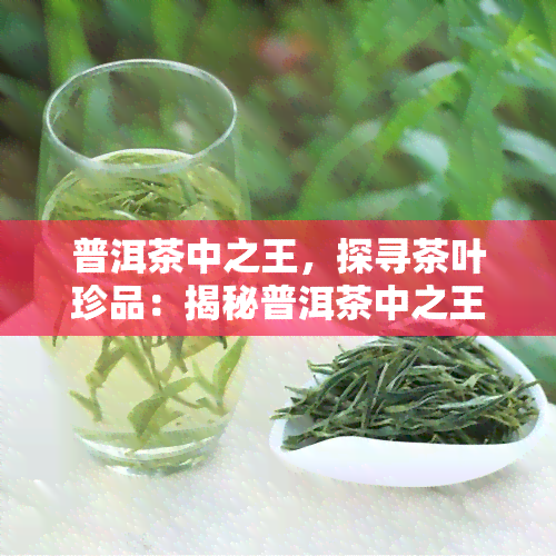 普洱茶中之王，探寻茶叶珍品：揭秘普洱茶中之王的传说与魅力