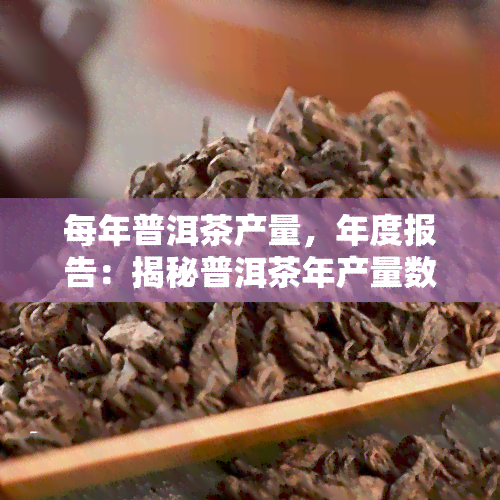 每年普洱茶产量，年度报告：揭秘普洱茶年产量数据