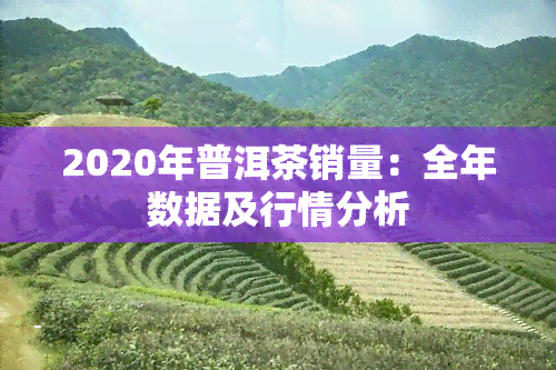 2020年普洱茶销量：全年数据及行情分析