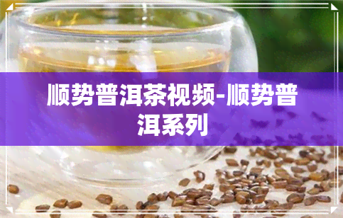 顺势普洱茶视频-顺势普洱系列