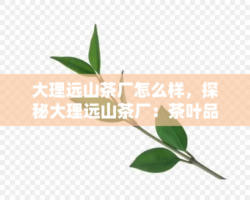 大理远山茶厂怎么样，探秘大理远山茶厂：茶叶品质与生产工艺如何？