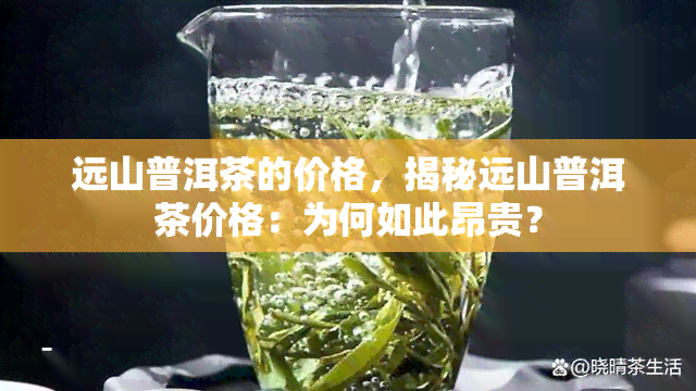 远山普洱茶的价格，揭秘远山普洱茶价格：为何如此昂贵？