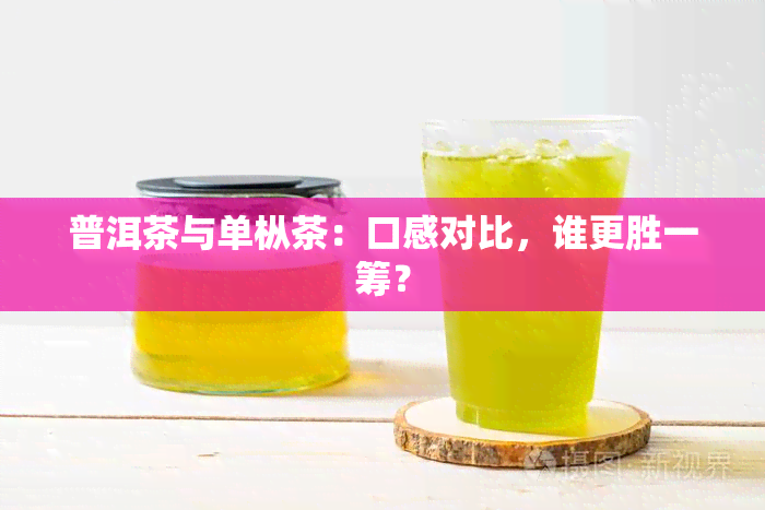 普洱茶与单枞茶：口感对比，谁更胜一筹？