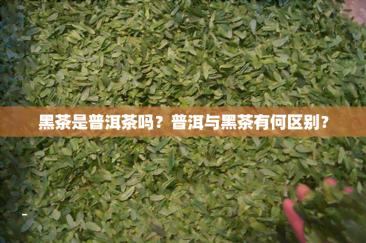 黑茶是普洱茶吗？普洱与黑茶有何区别？