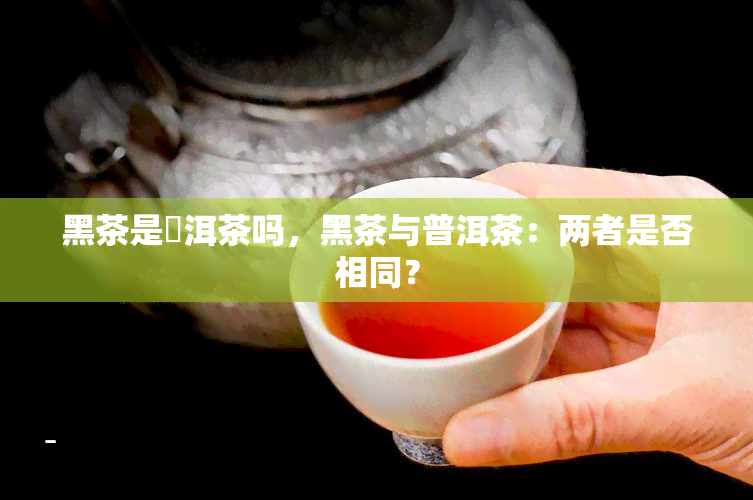 黑茶是潽洱茶吗，黑茶与普洱茶：两者是否相同？