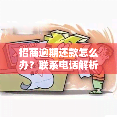 招商逾期还款怎么办？联系电话解析