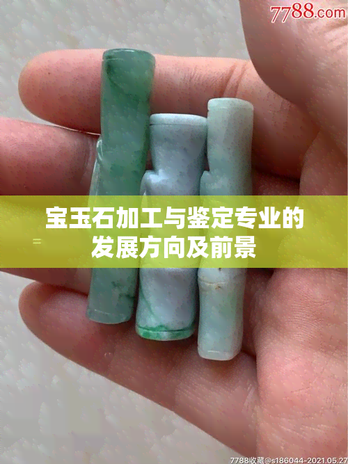 宝玉石加工与鉴定专业的发展方向及前景