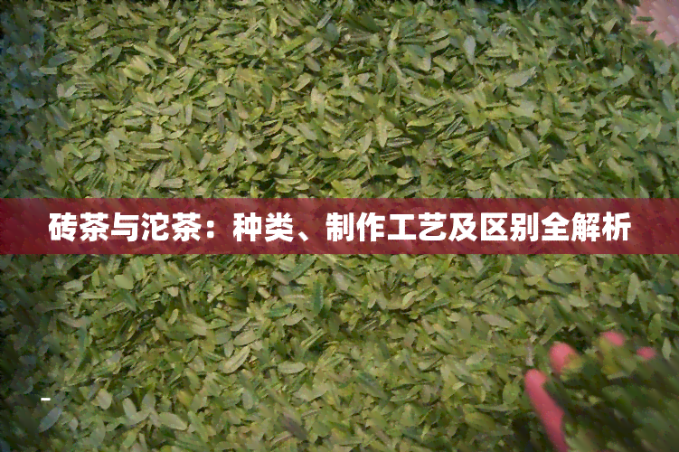 砖茶与沱茶：种类、制作工艺及区别全解析