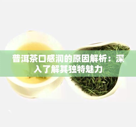 普洱茶口感润的原因解析：深入了解其独特魅力