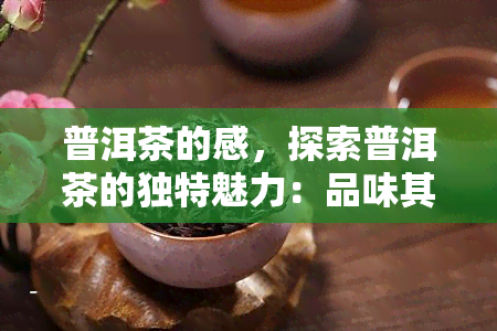 普洱茶的感，探索普洱茶的独特魅力：品味其润口感