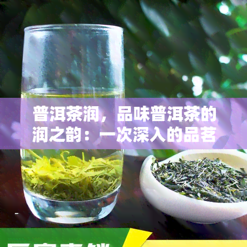 普洱茶润，品味普洱茶的润之韵：一次深入的品茗体验