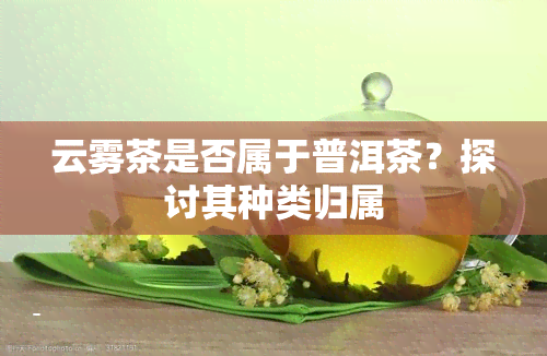 云雾茶是否属于普洱茶？探讨其种类归属