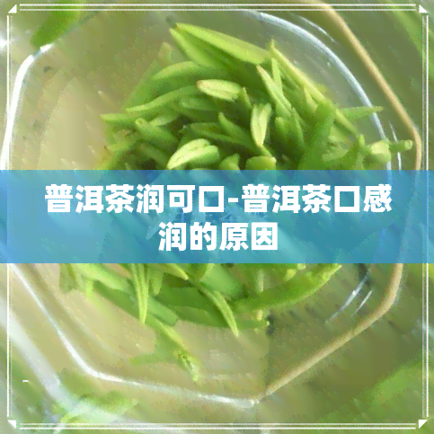 普洱茶润可口-普洱茶口感润的原因