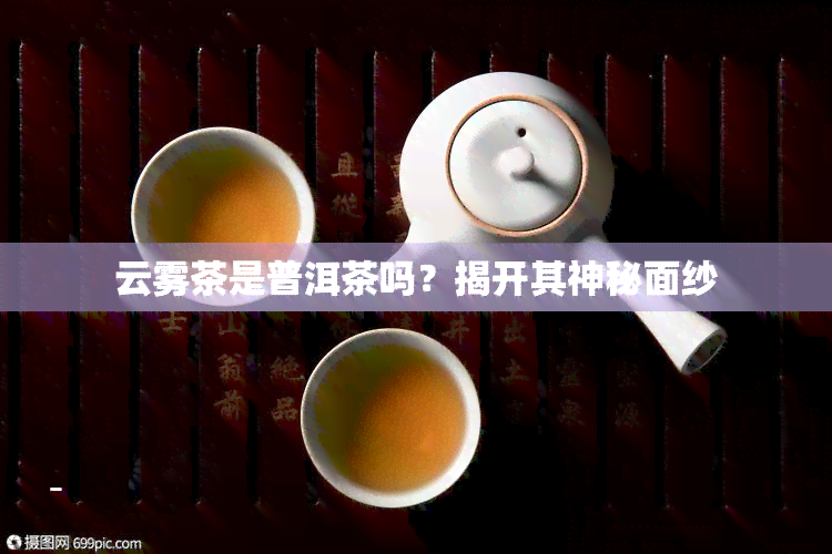 云雾茶是普洱茶吗？揭开其神秘面纱