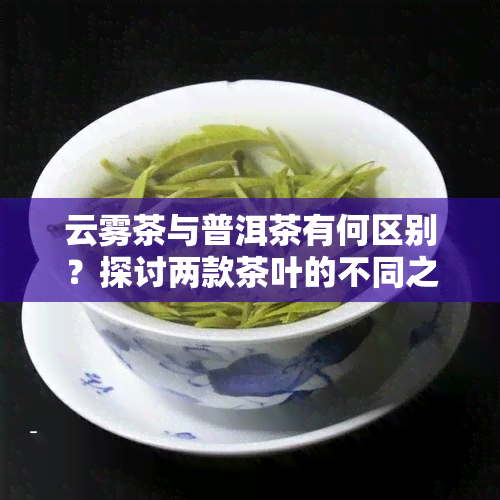 云雾茶与普洱茶有何区别？探讨两款茶叶的不同之处