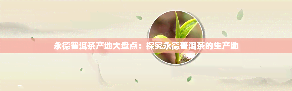 永德普洱茶产地大盘点：探究永德普洱茶的生产地