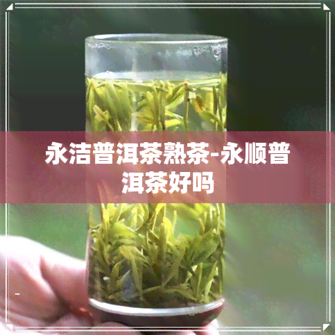 永洁普洱茶熟茶-永顺普洱茶好吗