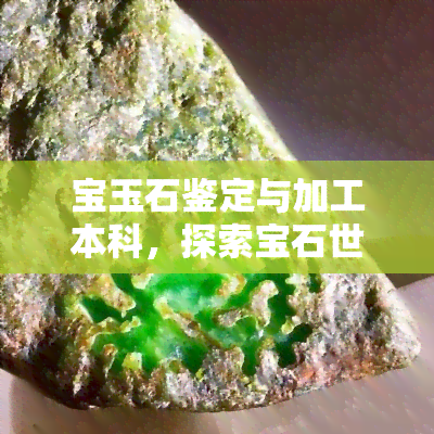 宝玉石鉴定与加工本科，探索宝石世界：宝玉石鉴定与加工本科学习全攻略