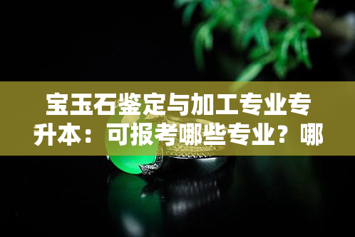 宝玉石鉴定与加工专业专升本：可报考哪些专业？哪些学校提供该专业升本机会？