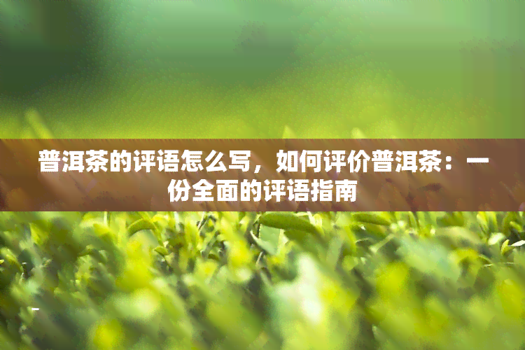 普洱茶的评语怎么写，如何评价普洱茶：一份全面的评语指南