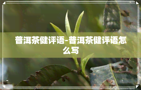 普洱茶健评语-普洱茶健评语怎么写