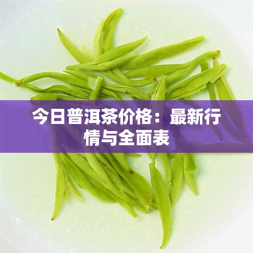 今日普洱茶价格：最新行情与全面表