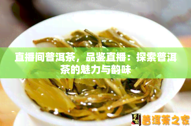 直播间普洱茶，品鉴直播：探索普洱茶的魅力与韵味