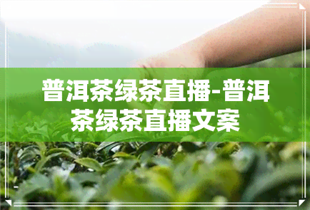 普洱茶绿茶直播-普洱茶绿茶直播文案