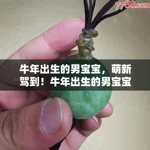 牛年出生的男宝宝，萌新驾到！牛年出生的男宝宝带来好运与活力