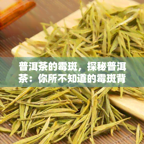 普洱茶的霉斑，探秘普洱茶：你所不知道的霉斑背后的故事